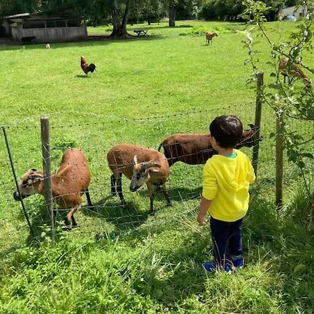 4 Star Maisonnette Mit Kaiser Blick, Sauna, Schwimmbad Lejlighed *