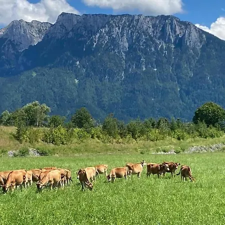 Appartement 4 Star Maisonnette Mit Kaiser Blick, Sauna, Schwimmbad Oberaudorf
