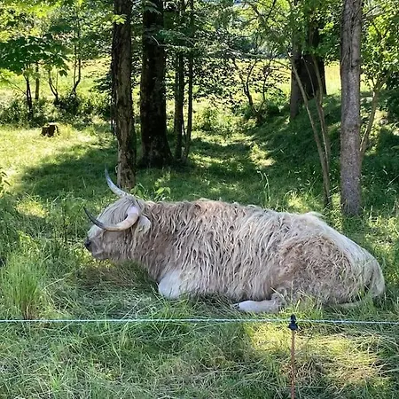 4 Star Maisonnette Mit Kaiser Blick, Sauna, Schwimmbad *