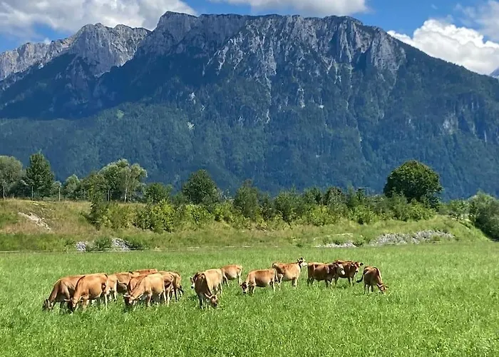 Appartement 4 Star Maisonnette Mit Kaiser Blick, Sauna, Schwimmbad Oberaudorf