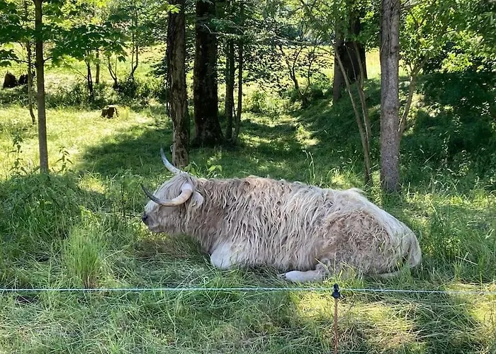 4 Star Maisonnette Mit Kaiser Blick, Sauna, Schwimmbad *