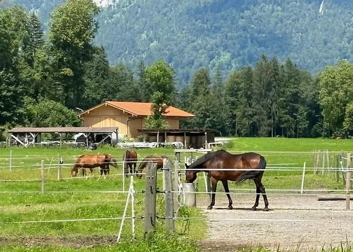 4 Star Maisonnette Mit Kaiser Blick, Sauna, Schwimmbad Oberaudorf
